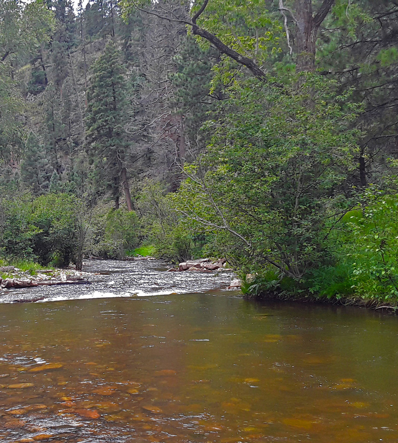 Pecos River near El Cerrito, New Mexico